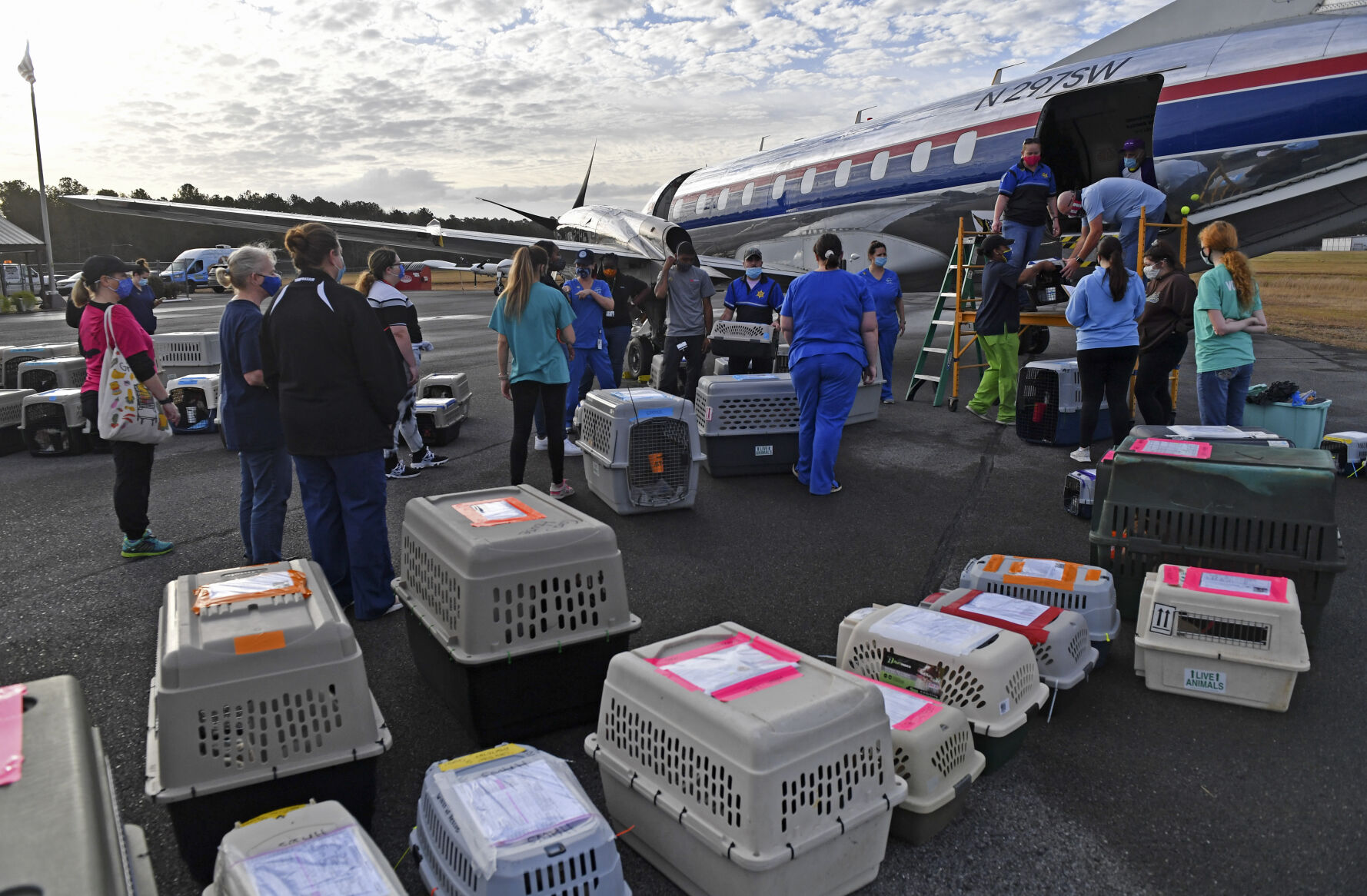 BR.petairliftwild.123120 HS 694.JPG